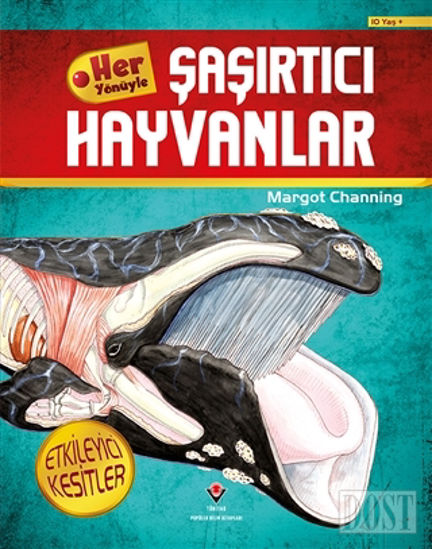 Her Yönüyle Şaşırtıcı Hayvanlar